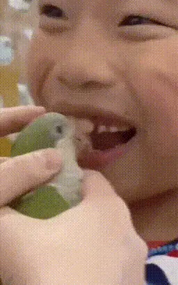 当你的游泳卡就只剩一天时 动图 这骑行看着有点力气