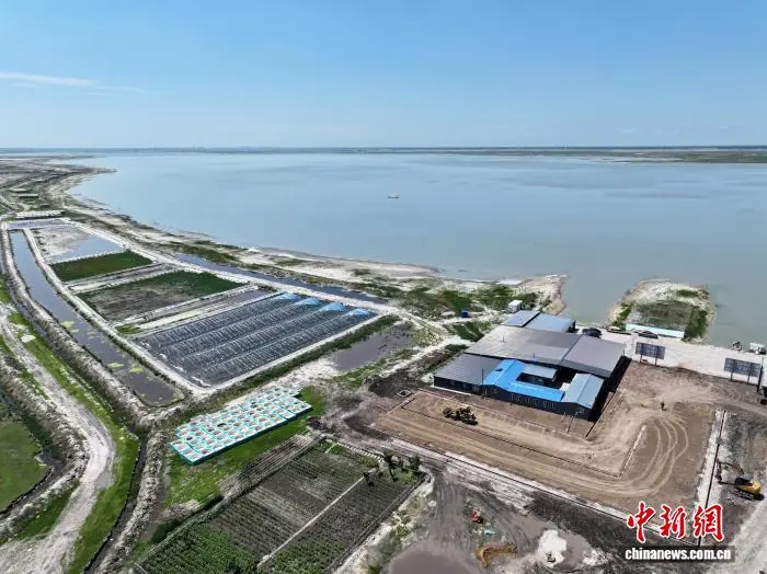 吉林镇赉：错峰小龙虾“游”出湿地富民产业链