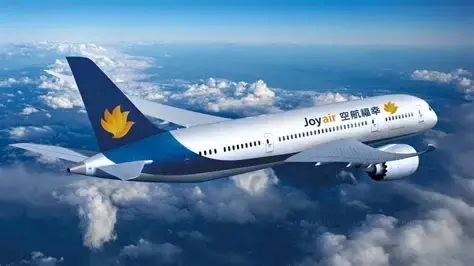 停运一年背负超50亿元债务!幸福航空迈入预重整阶段