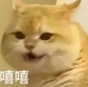 杀同伴才能过关?解谜独游《金羊毛》DEMO上线,40分钟烧脑挑战!