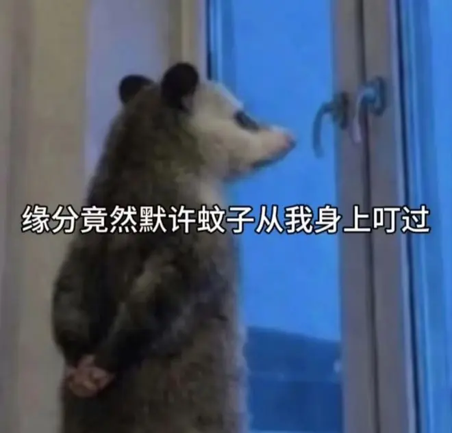 你想象中吃蚊子的青蛙,可能正在被蚊子吃……