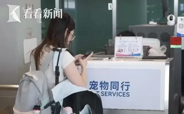 端午假期：“宠物友好”航线增多 携宠出行更便捷