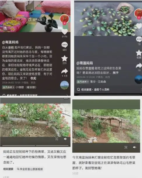 涉知名女星流言，平台通报：多次仿冒蹭热度，账号无限期封禁