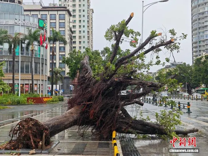 台风“美莎克”影响三亚:树木倒伏,路面积水