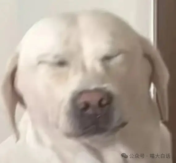 “千万不要秒回对象的信息!!”哈哈哈哈哈还能后悔吗!!