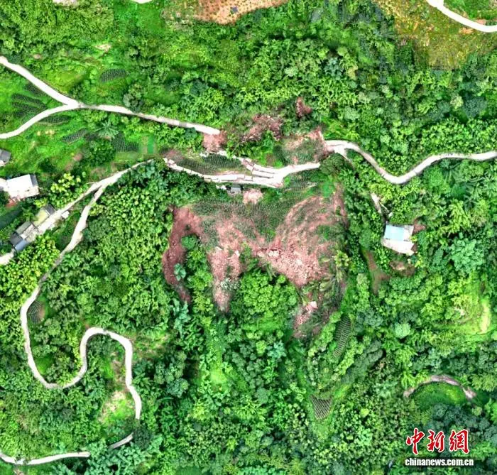 四川合江:暴雨诱发山体滑坡险情 镇村联动14名村民化险为夷