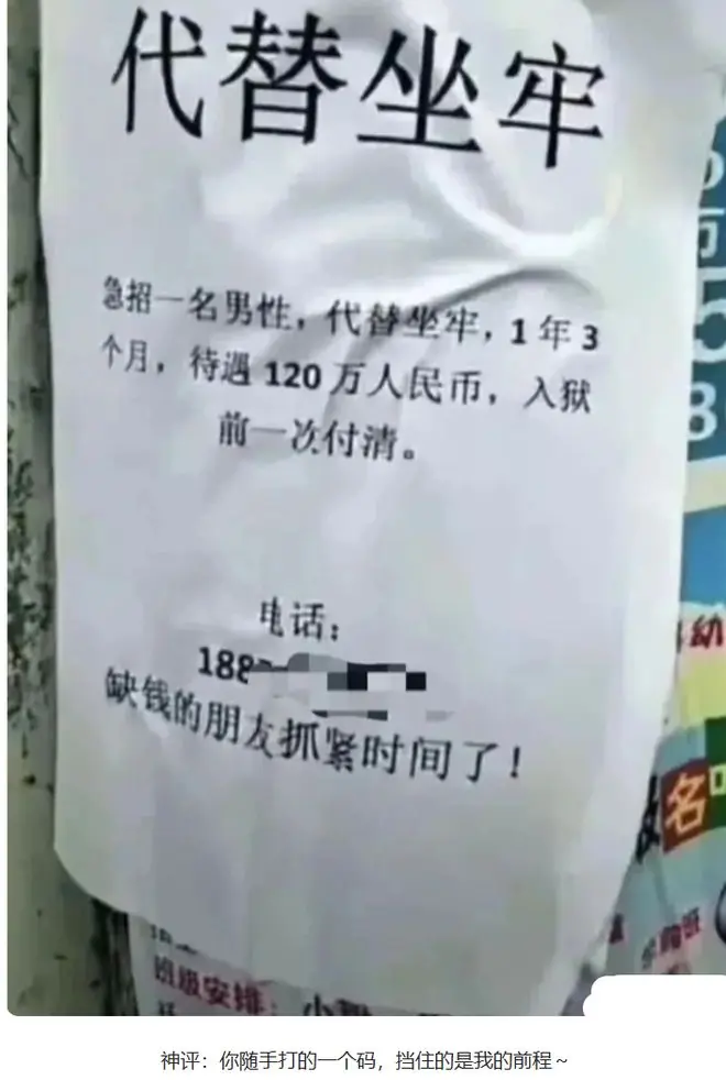 日常分享