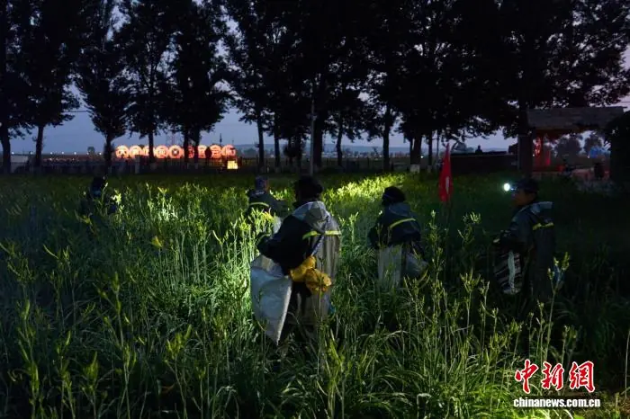 山西大同:一朵“小黄花”撬动乡村振兴大产业
