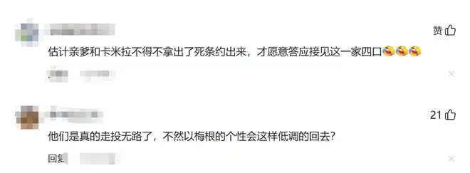 高下立见!卡米拉王后招待哈里一家,梅根心态改观,王子“尴尬”