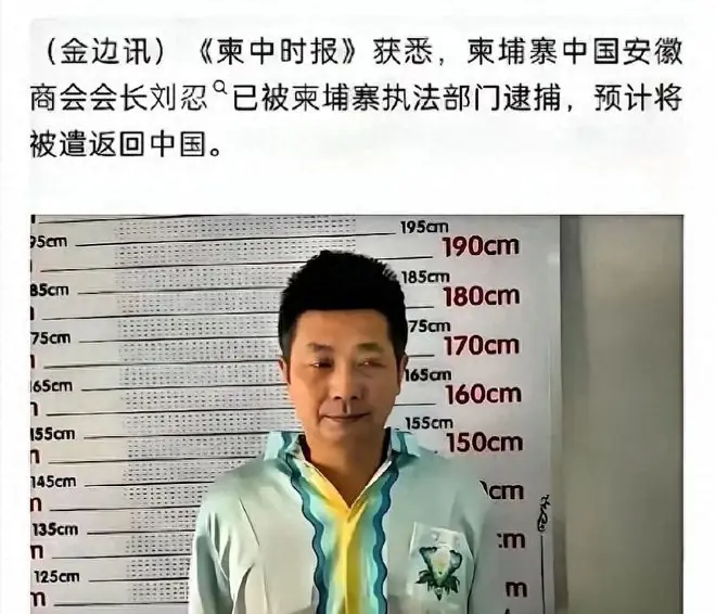 内鬼浮出水面!柬埔寨电诈园区幕后黑手,竟是我们信任的商会会长