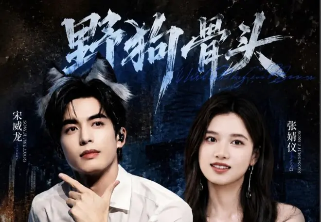 张婧仪《野狗骨头》比关晓彤的《耀眼》好看，像剧版《少年的你》