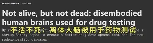 人刚死脑子就被挖走试药,美国这家公司 “复活” 了 700 颗大脑