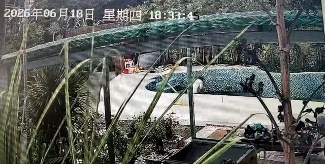 泳池未安装漏电保护装置，三亚一男子清洗泳池时触电身亡，谁来担责？各方回应