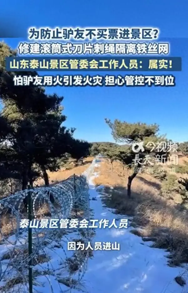 为防止驴友不买票进去?山东泰山景区建135公里刀片刺绳隔离网